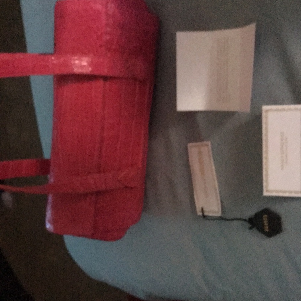 Nancy Gonzalez Pink Hand Bag